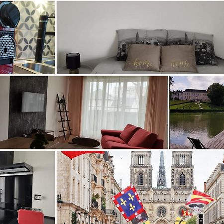 L'Escale Orleanaise Apartment Ngoại thất bức ảnh